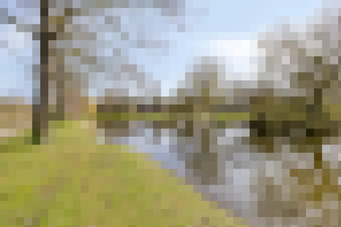Kamille 29 Opmeer thumbnail 31