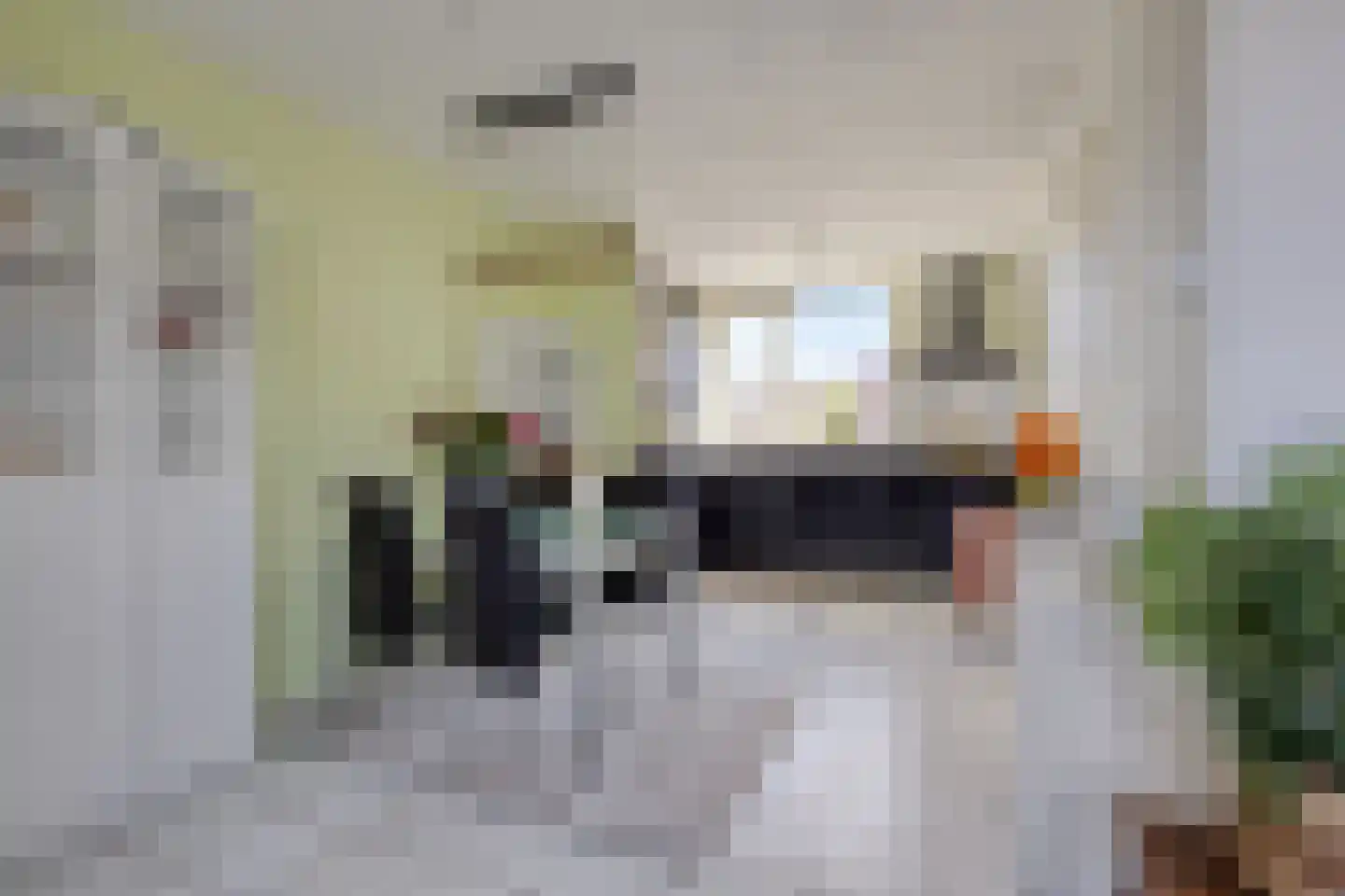 Kamille 29 Opmeer thumbnail 8