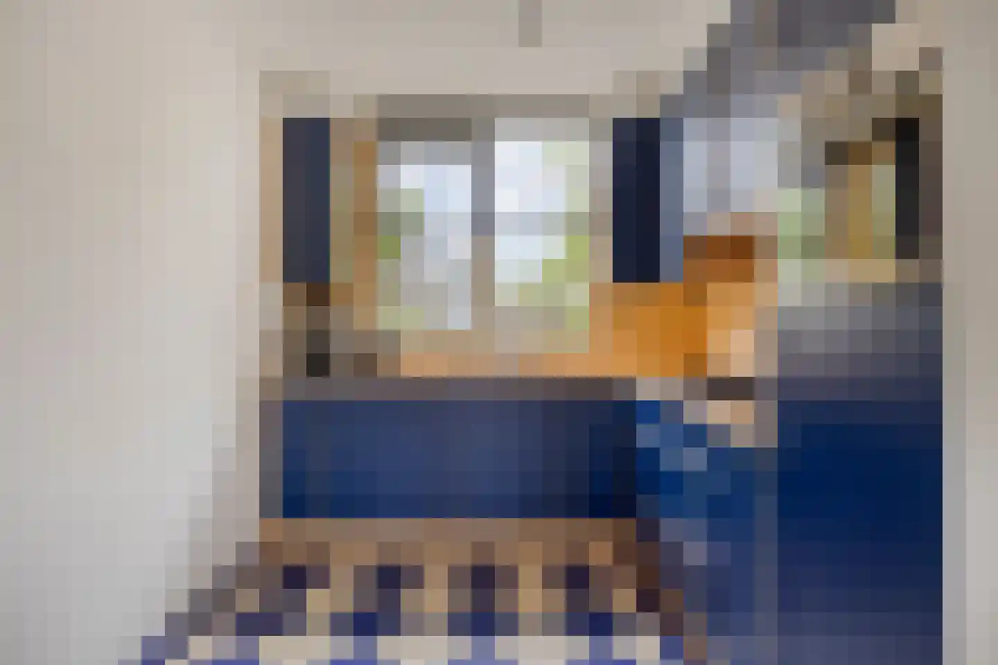 Kamille 29 Roden thumbnail 12