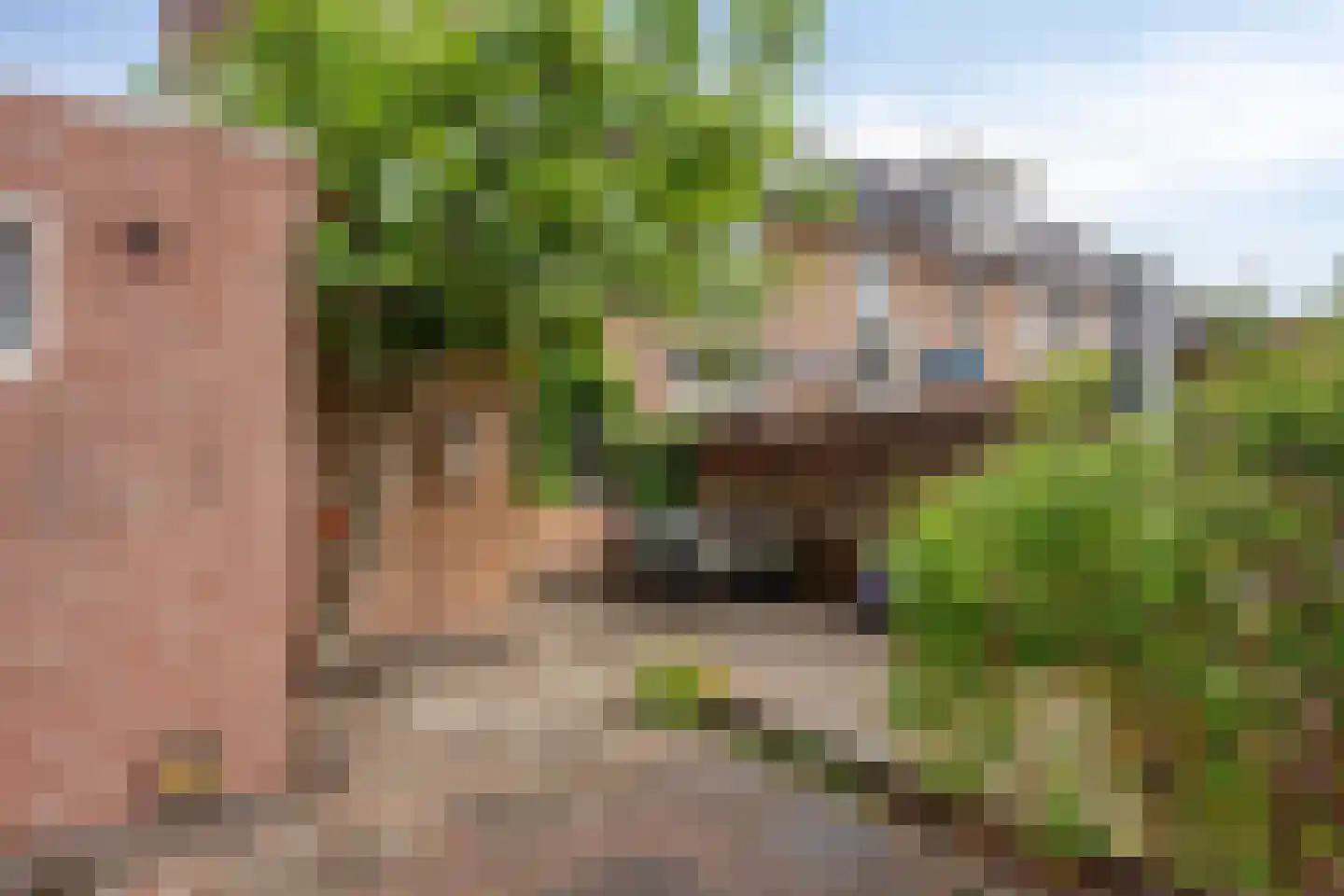 Kamille 29 Roden thumbnail 35