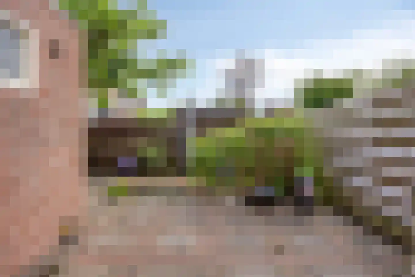 Kamille 29 Roden thumbnail 36
