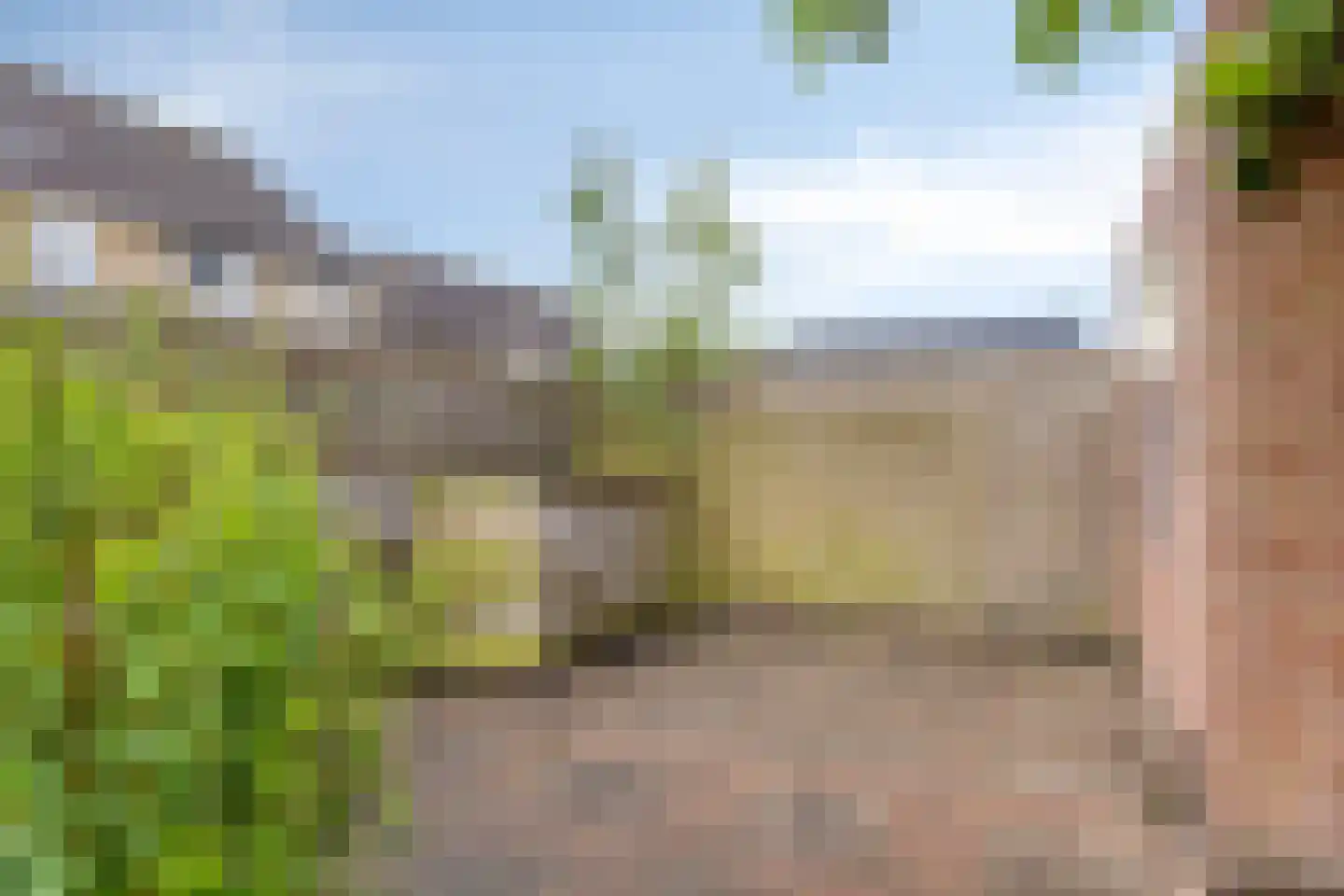 Kamille 29 Roden thumbnail 37