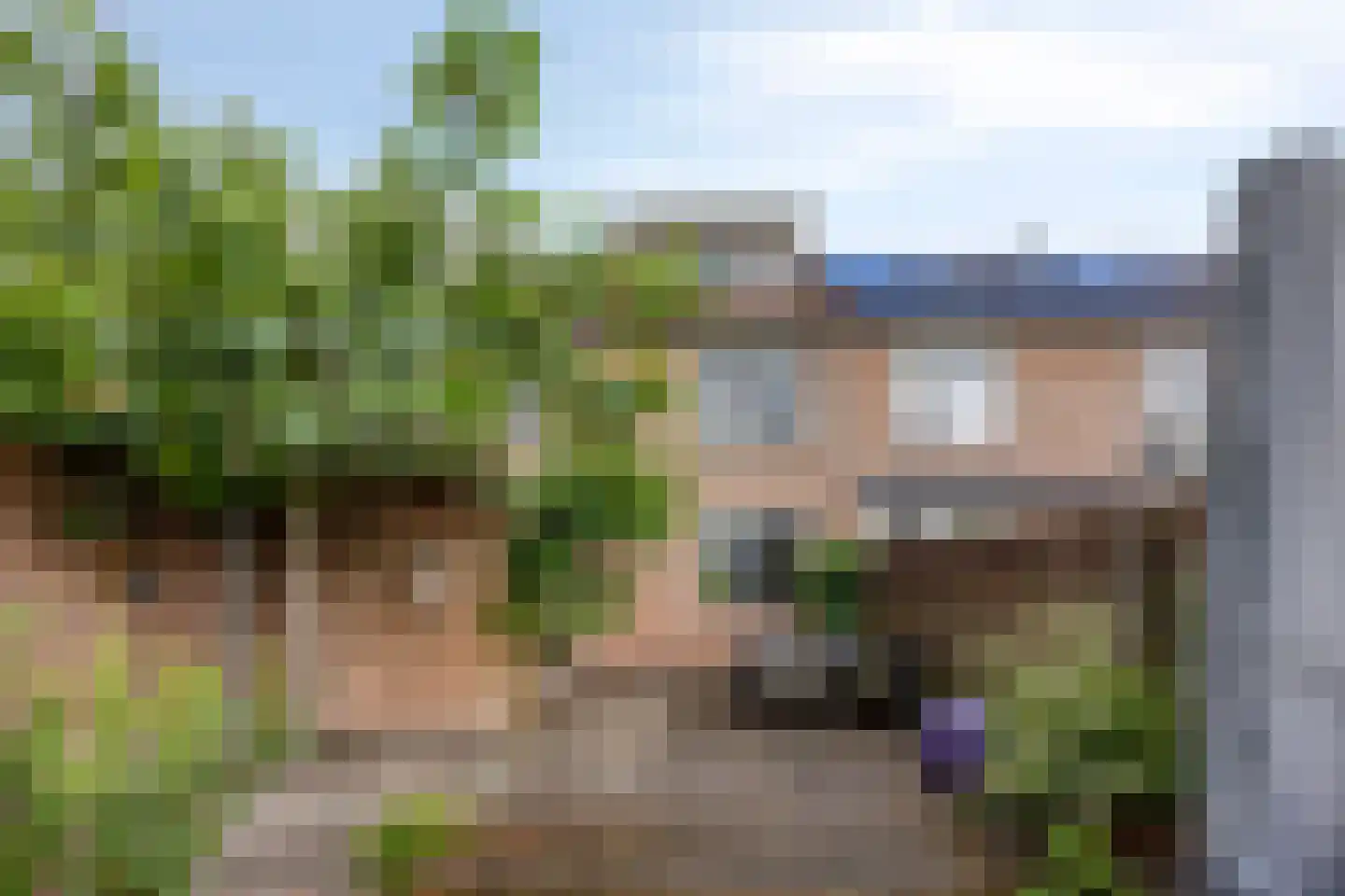 Kamille 29 Roden thumbnail 38