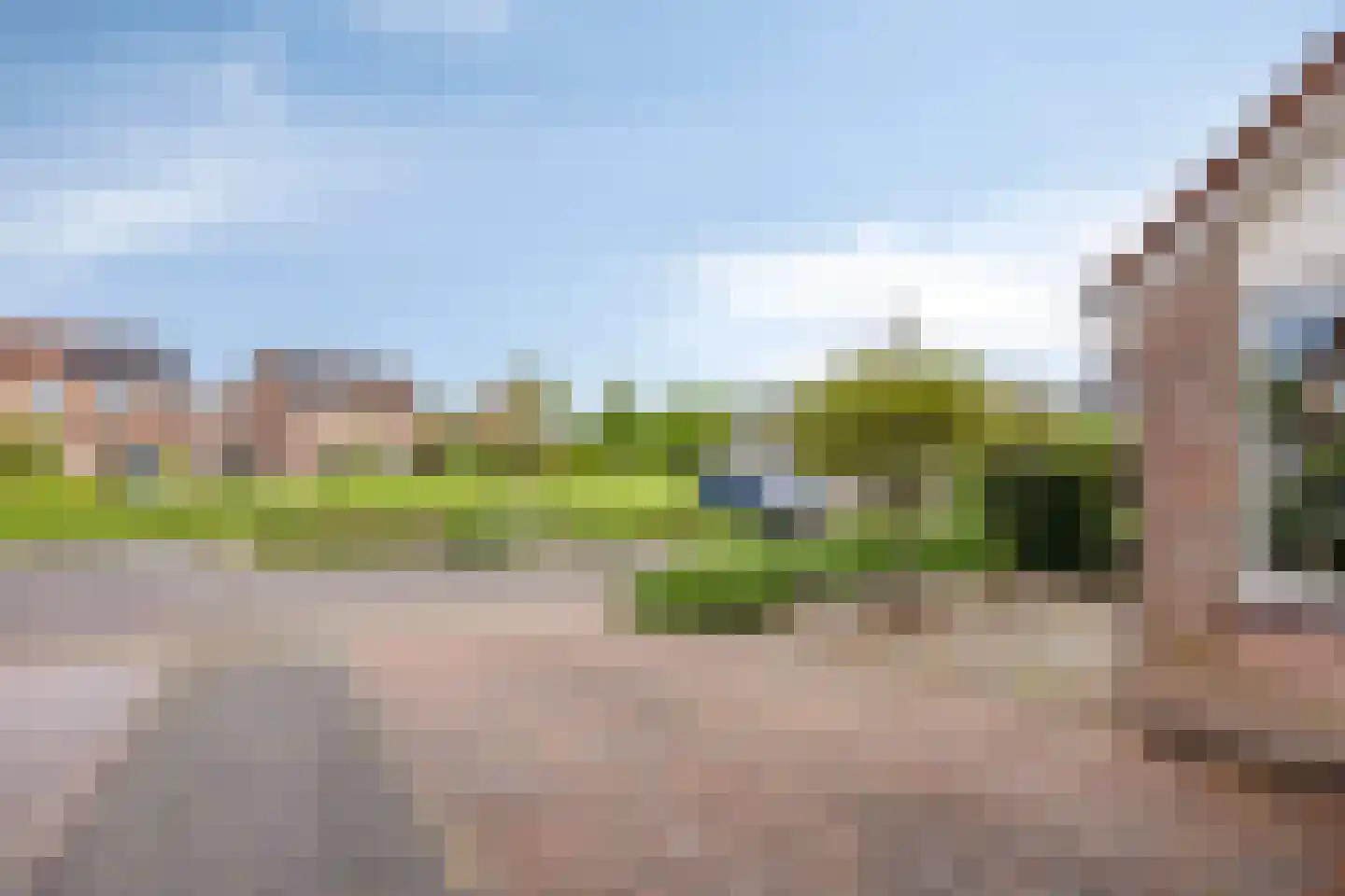 Kamille 29 Roden thumbnail 39