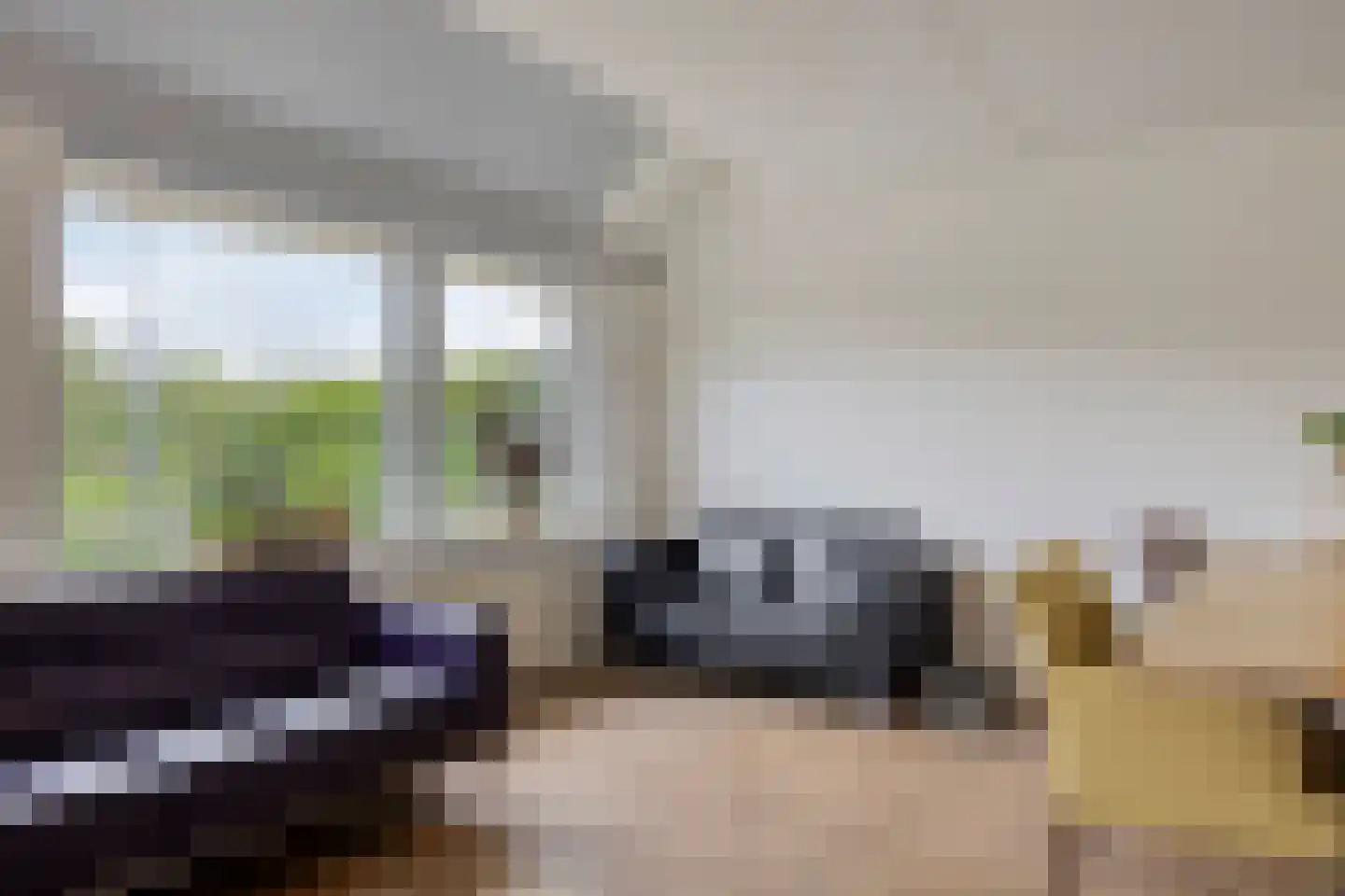 Kamille 29 Roden thumbnail 7