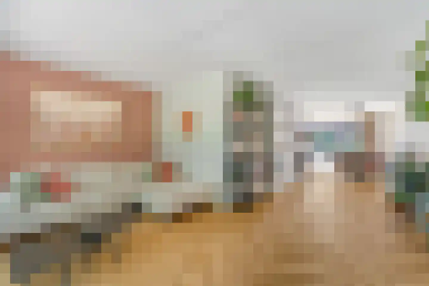 Kamille 3 Vroomshoop thumbnail 10