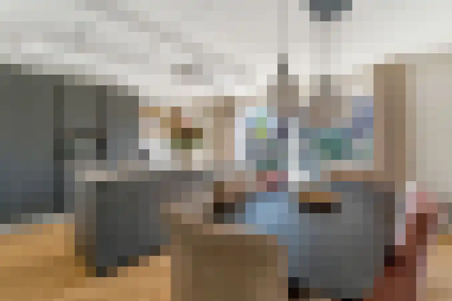 Kamille 3 Vroomshoop thumbnail 11