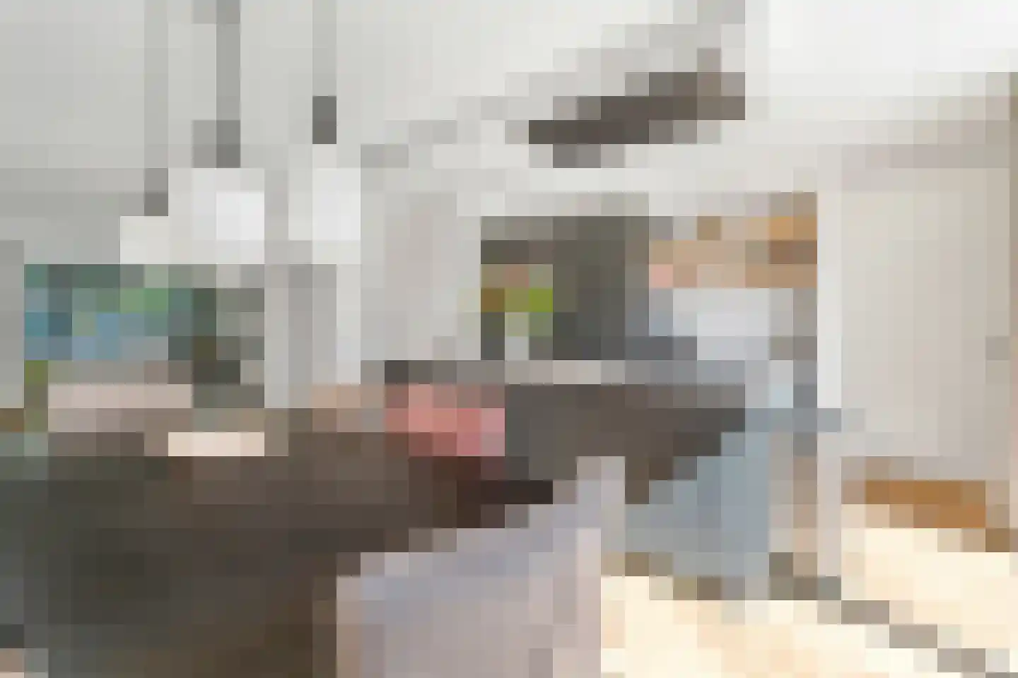 Kamille 3 Vroomshoop thumbnail 12