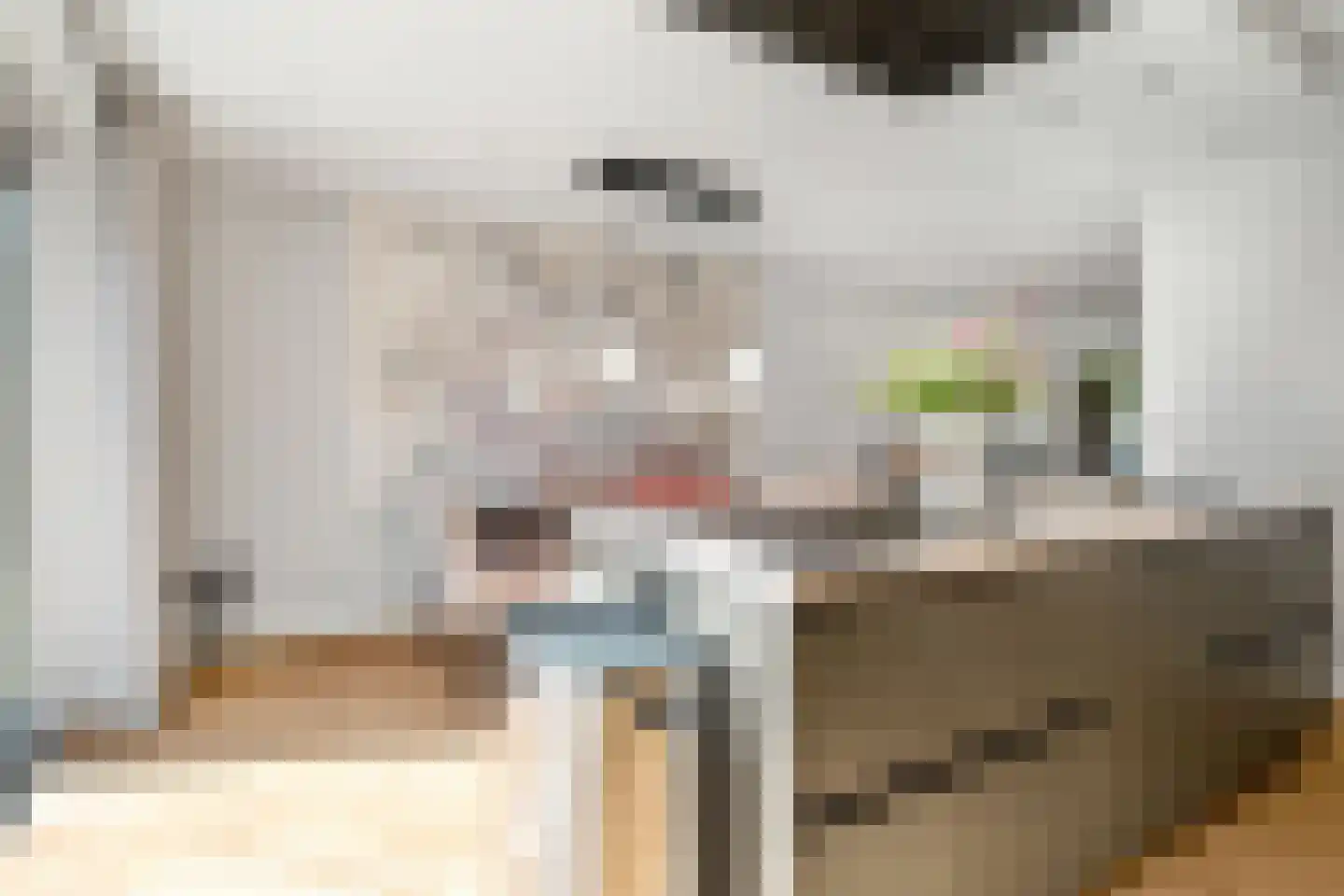 Kamille 3 Vroomshoop thumbnail 13