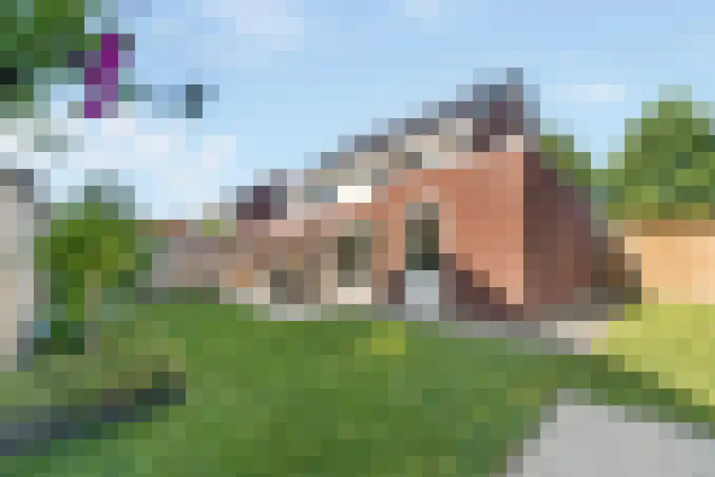Kamille 3 Vroomshoop thumbnail 17