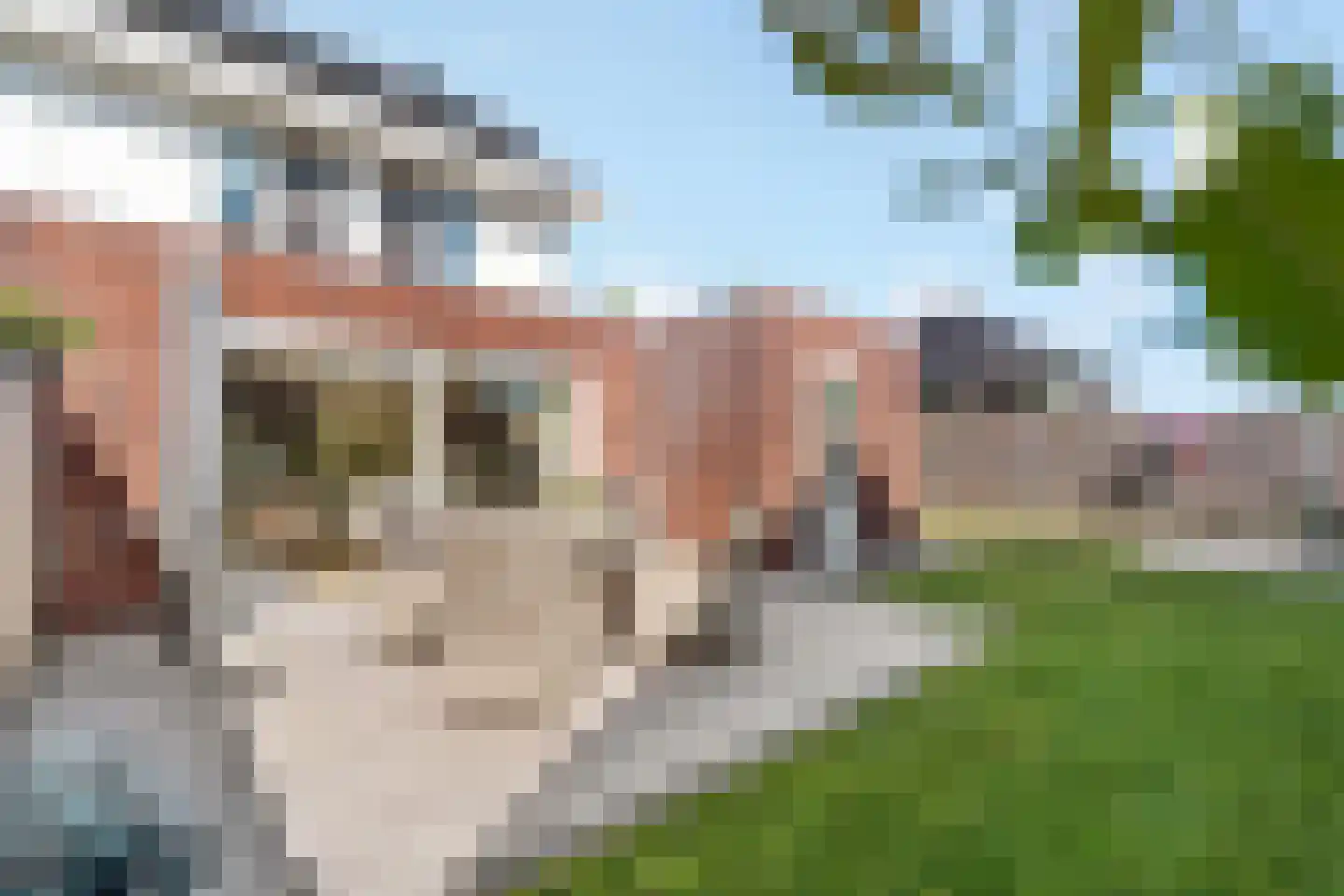Kamille 3 Vroomshoop thumbnail 18