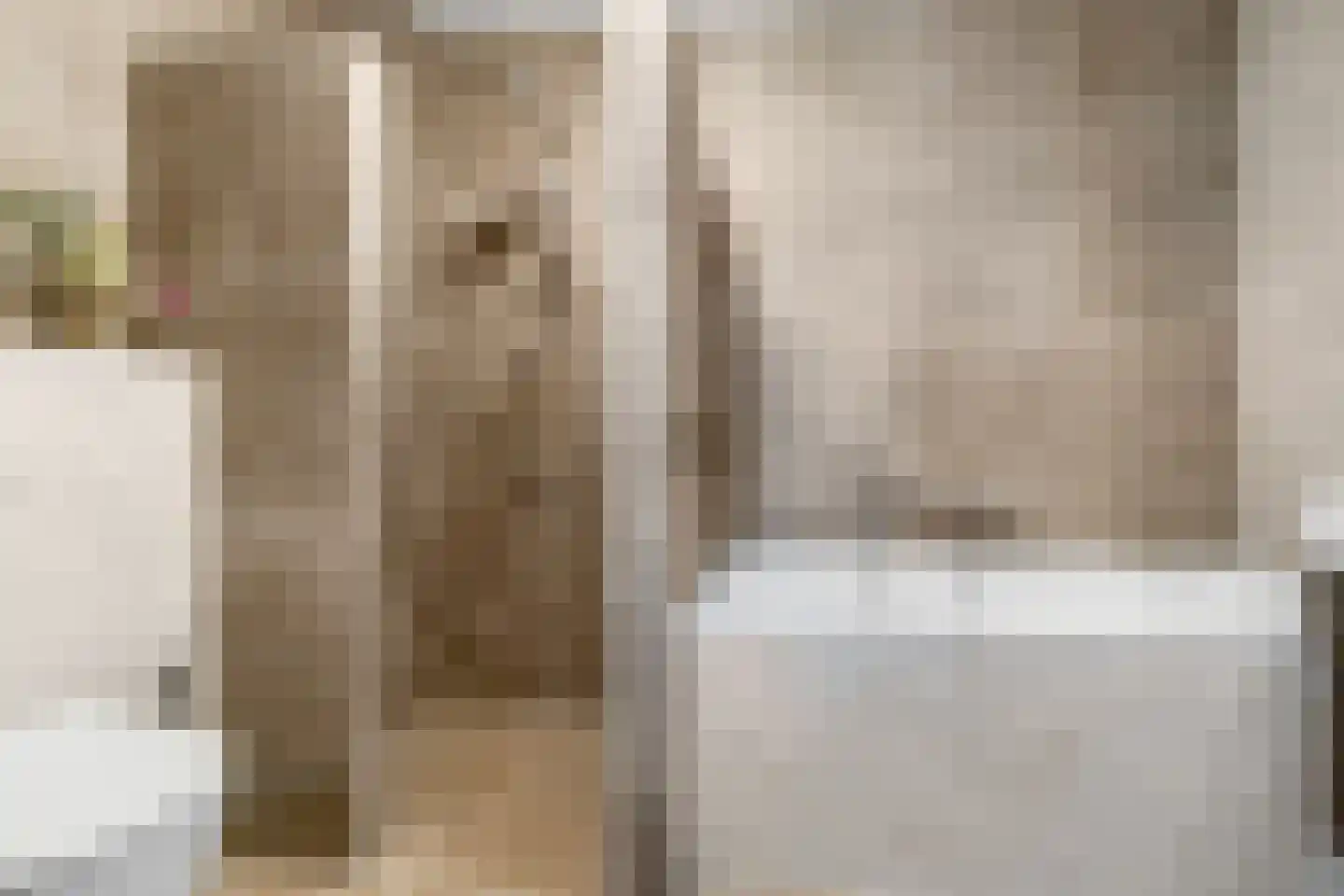 Kamille 3 Vroomshoop thumbnail 25