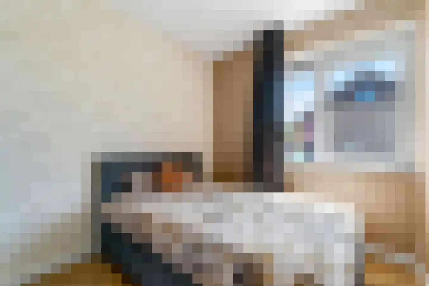 Kamille 3 Vroomshoop thumbnail 27