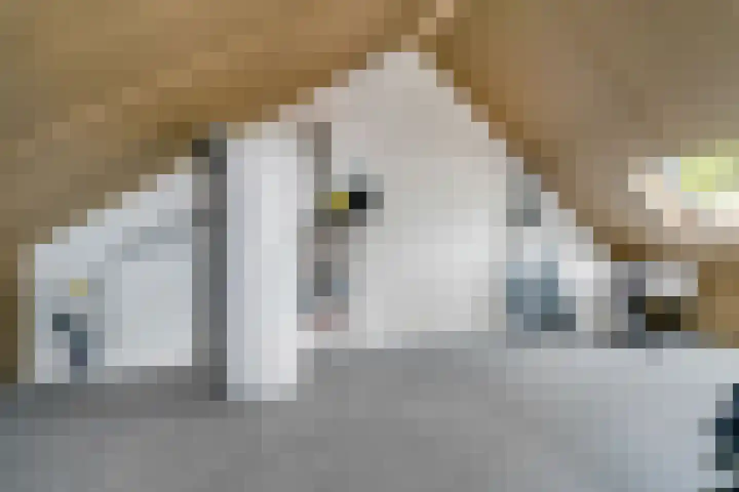 Kamille 3 Vroomshoop thumbnail 28