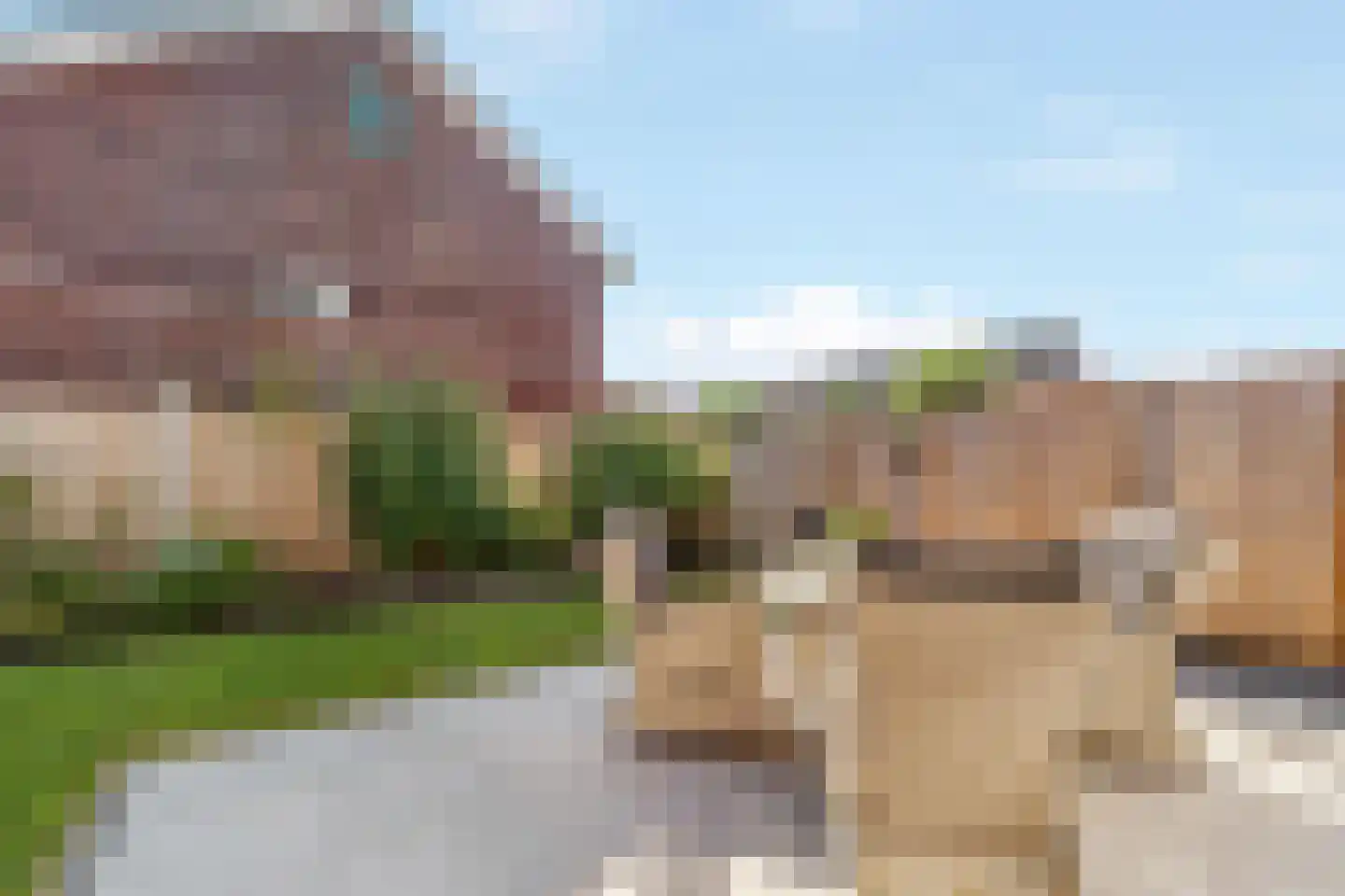 Kamille 3 Vroomshoop thumbnail 29