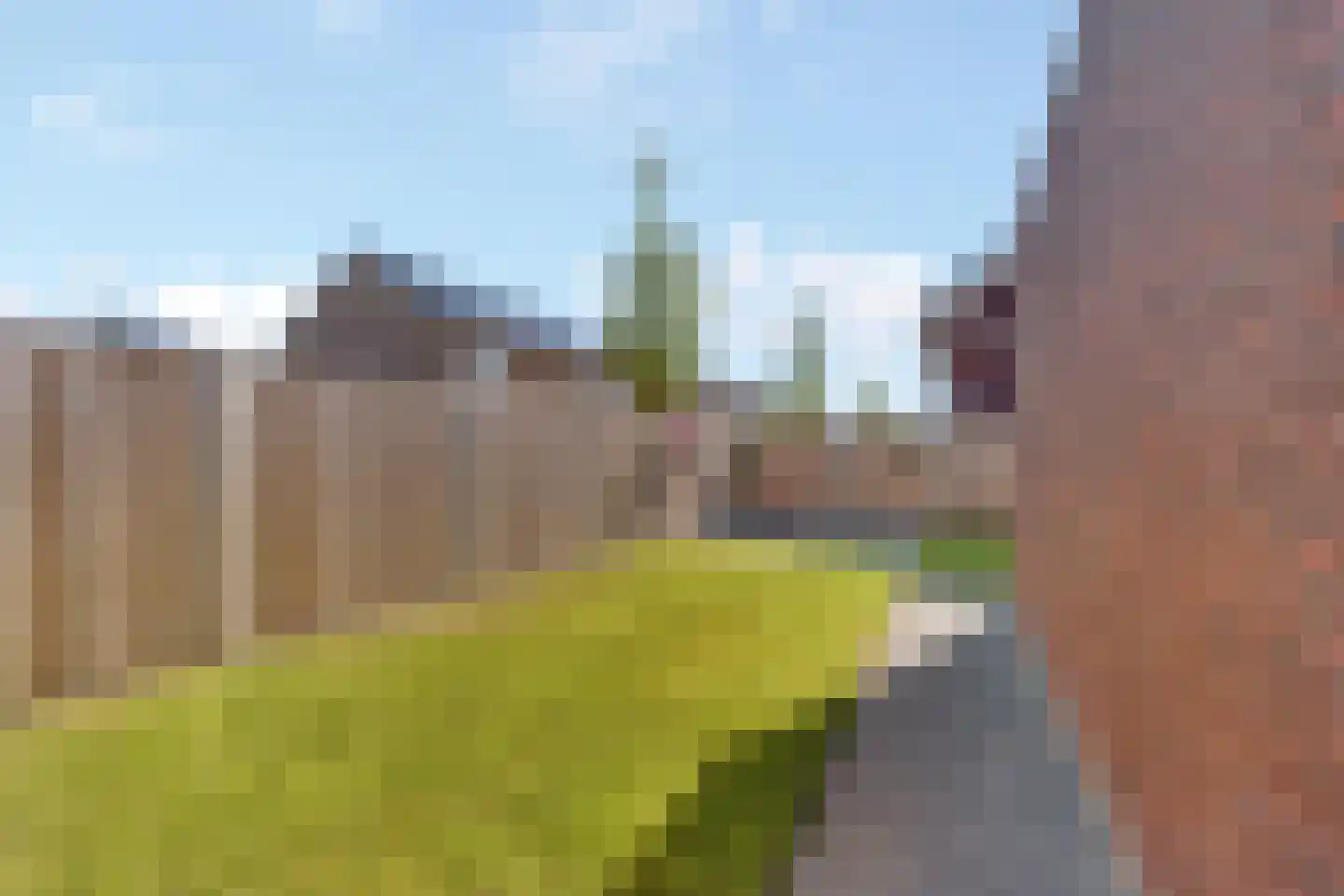 Kamille 3 Vroomshoop thumbnail 31