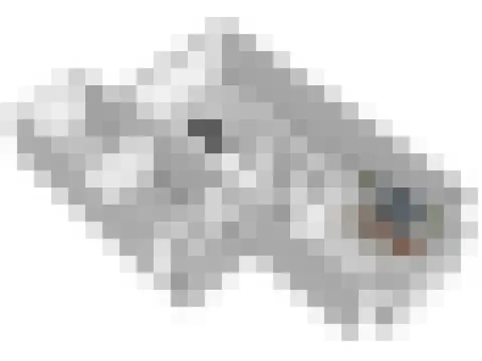 Kamille 3 Vroomshoop thumbnail 36