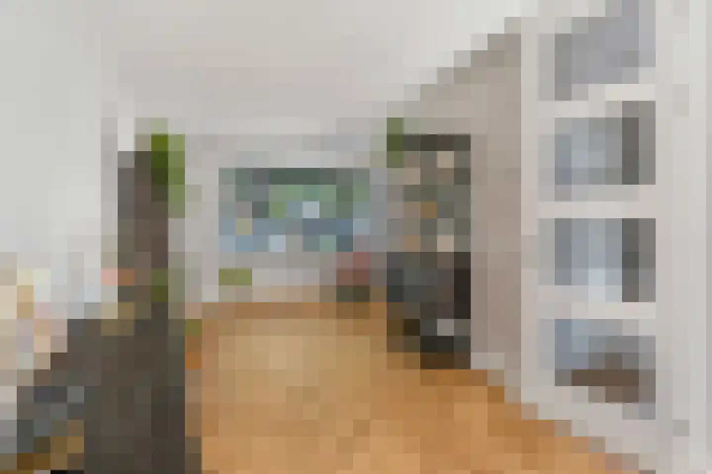 Kamille 3 Vroomshoop thumbnail 6