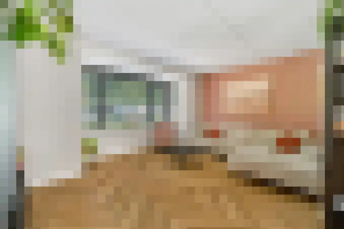 Kamille 3 Vroomshoop thumbnail 7