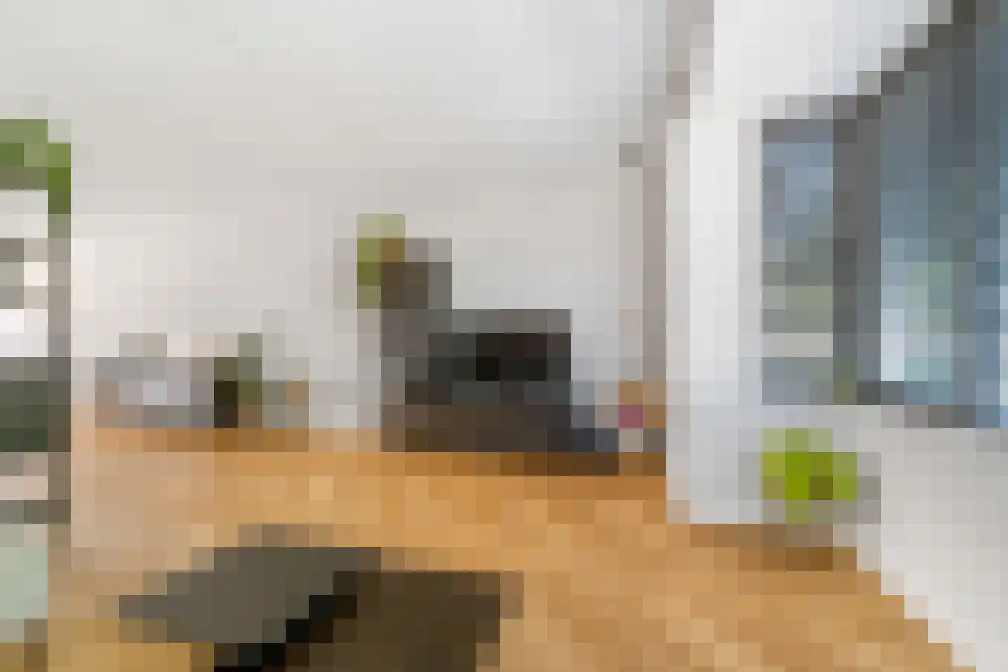 Kamille 3 Vroomshoop thumbnail 9