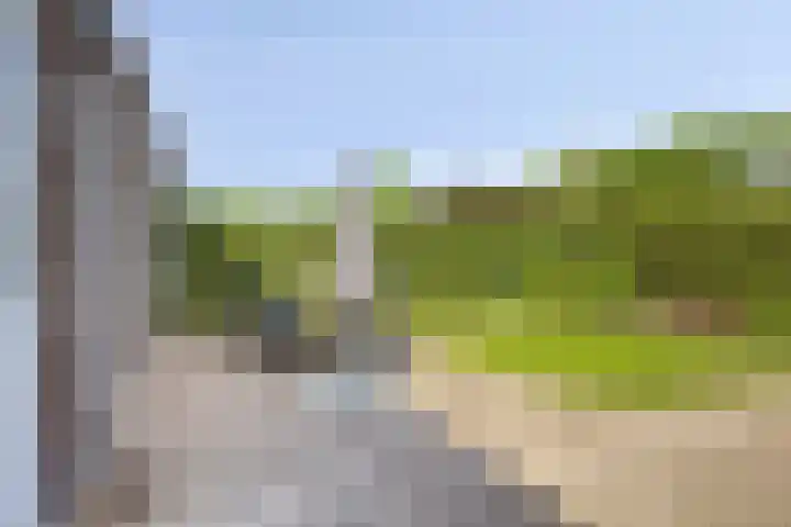 Kamille 32 Boxmeer thumbnail 24