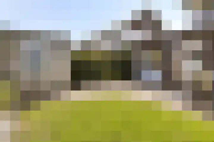 Kamille 32 Boxmeer thumbnail 25