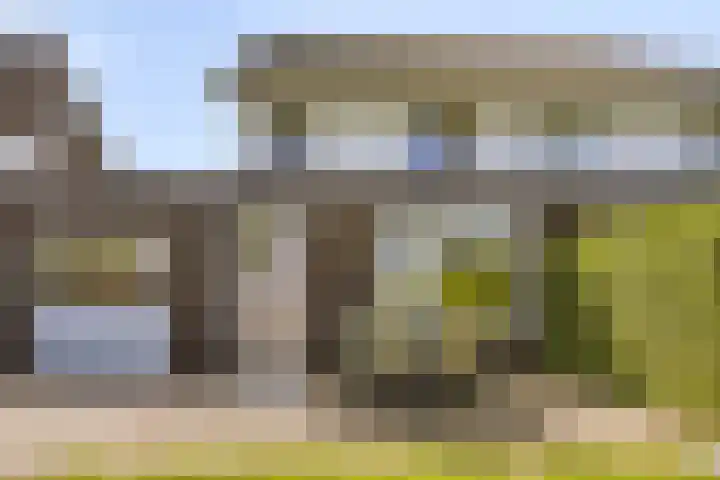 Kamille 32 Boxmeer thumbnail 26
