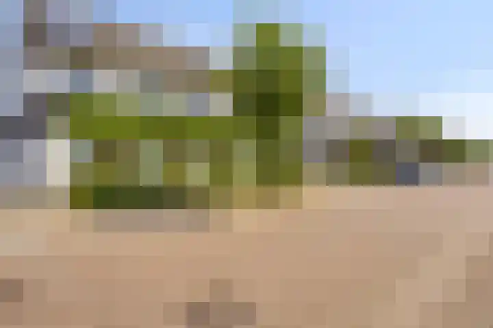 Kamille 32 Boxmeer thumbnail 28