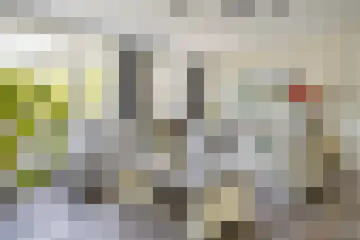 Kamille 32 Boxmeer thumbnail 4