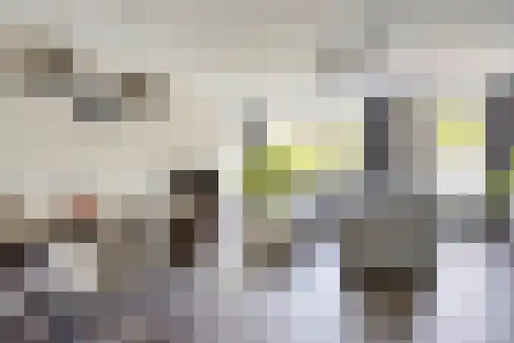 Kamille 32 Boxmeer thumbnail 5