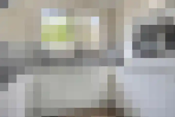 Kamille 32 Boxmeer thumbnail 8