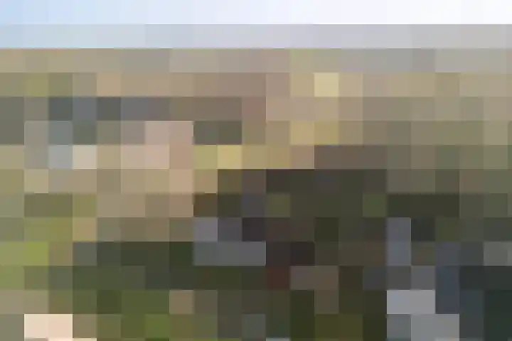 Kamille 32 Dronten foto 2