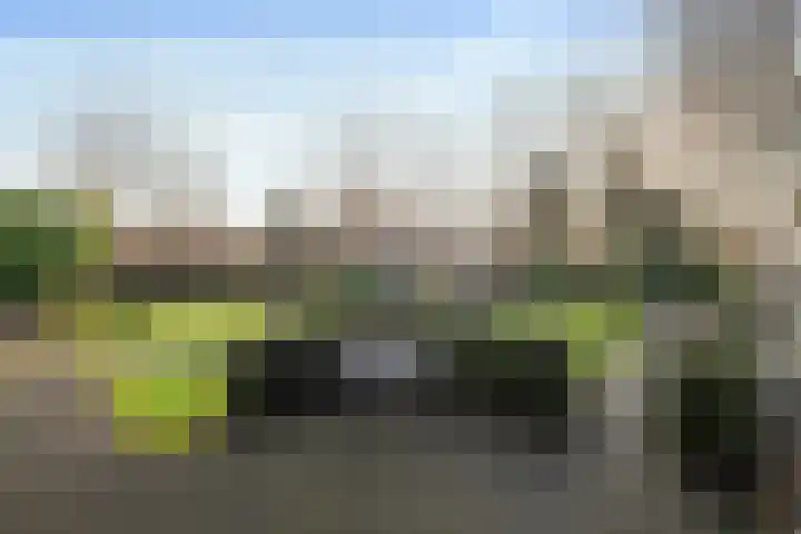 Kamille 32 Dronten thumbnail 29