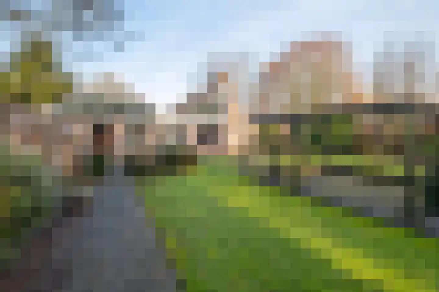 Kamille 32 Dronten thumbnail 31