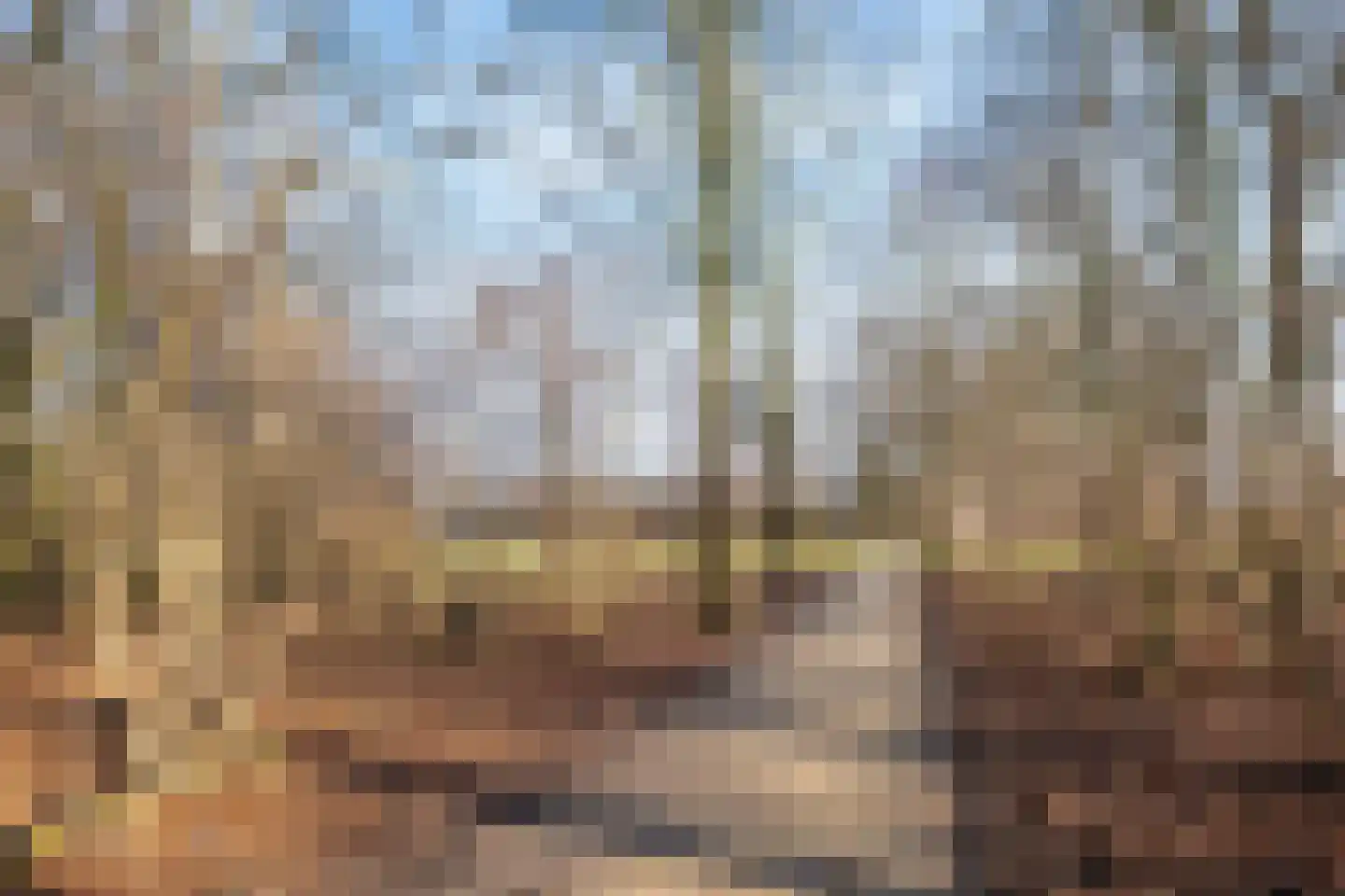 Kamille 32 Dronten thumbnail 33