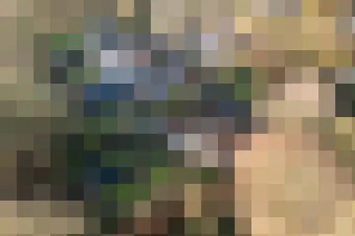 Kamille 32 Dronten thumbnail 34