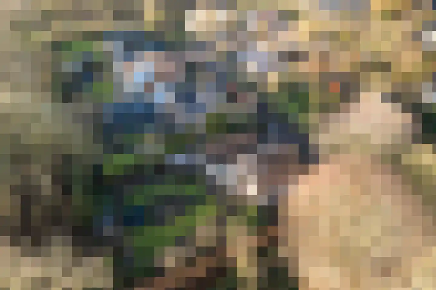 Kamille 32 Dronten thumbnail 34