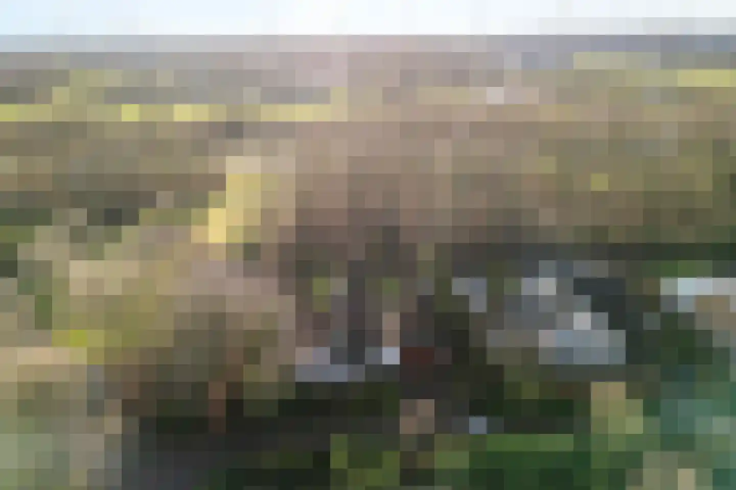 Kamille 32 Dronten thumbnail 36