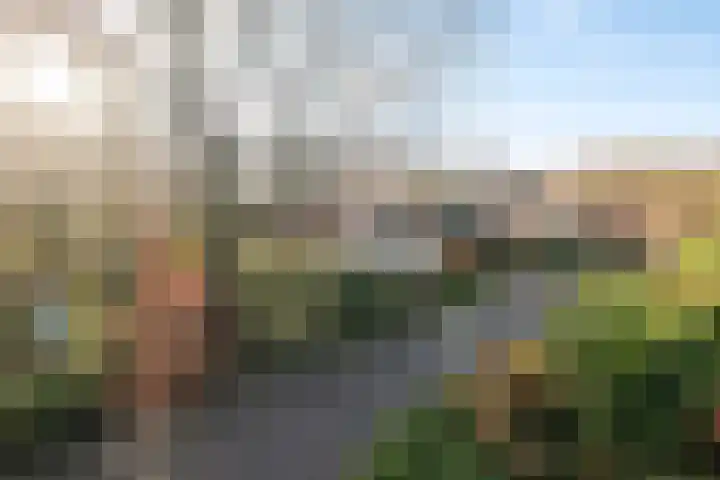 Kamille 32 Dronten thumbnail 38