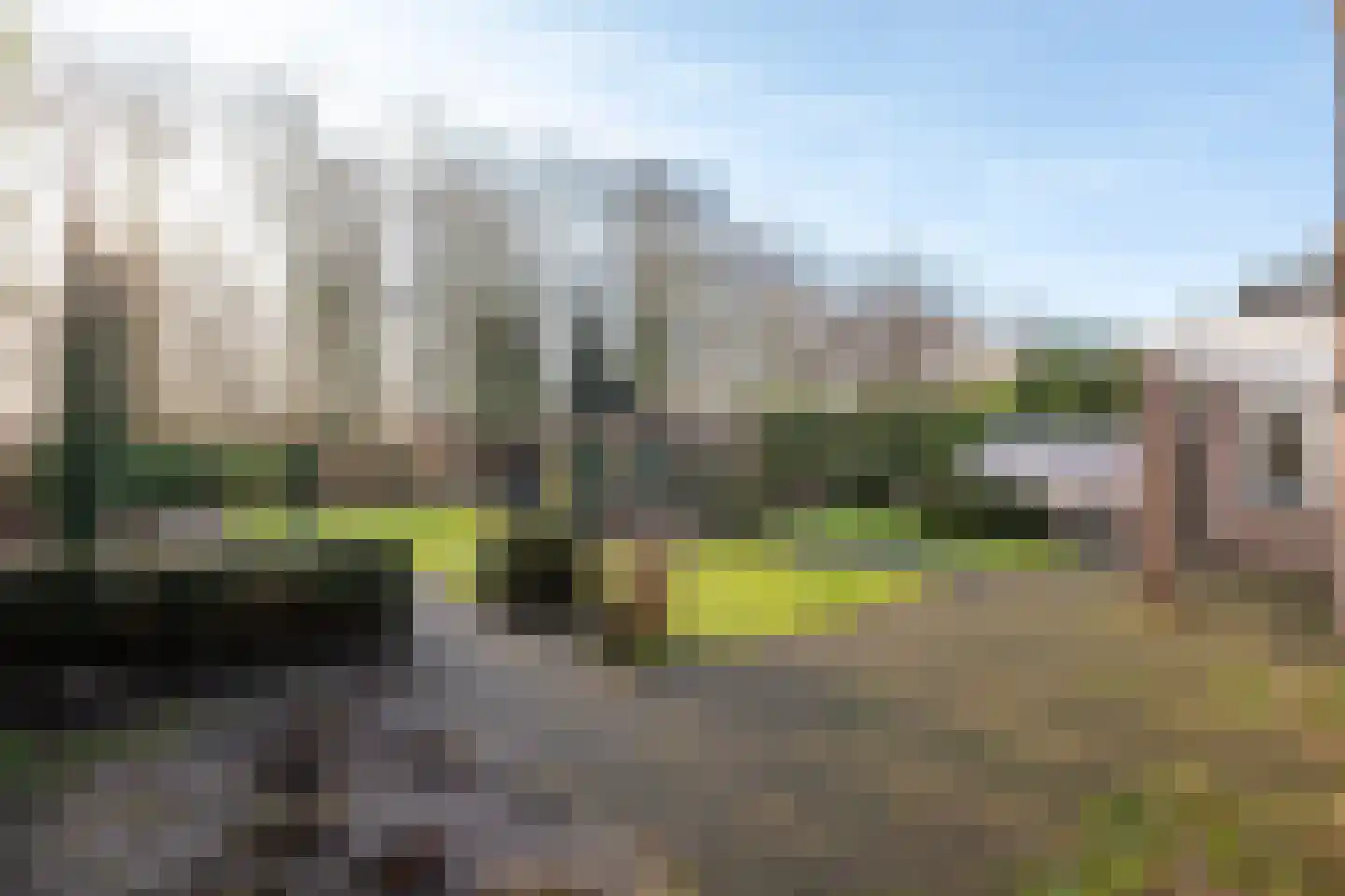 Kamille 32 Dronten thumbnail 4