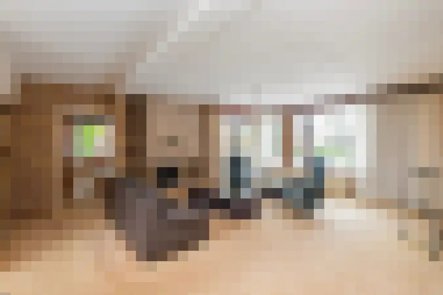 Kamille 32 Dronten thumbnail 5