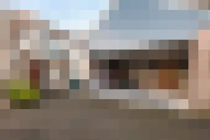 Kamille 32 Dronten thumbnail 7