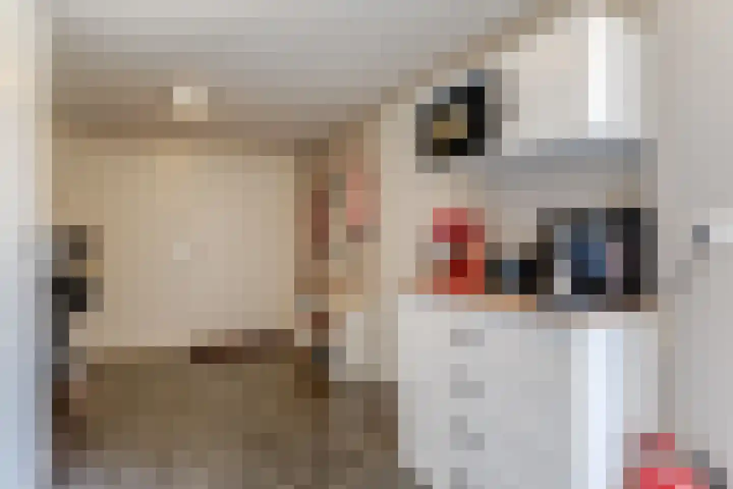 Kamille 32 Opmeer thumbnail 13