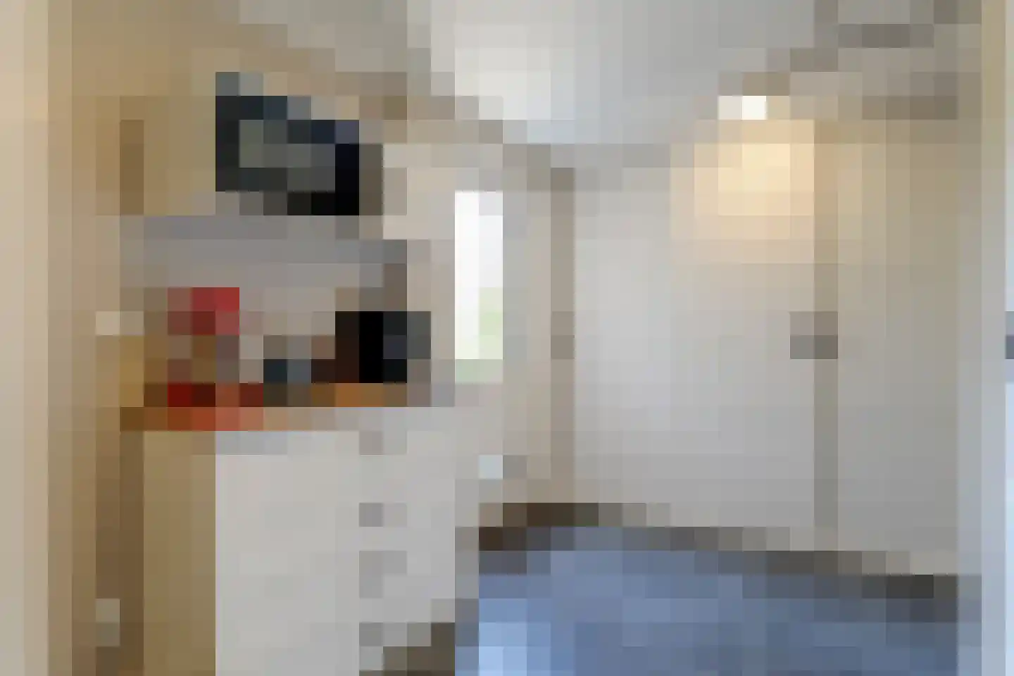 Kamille 32 Opmeer thumbnail 15