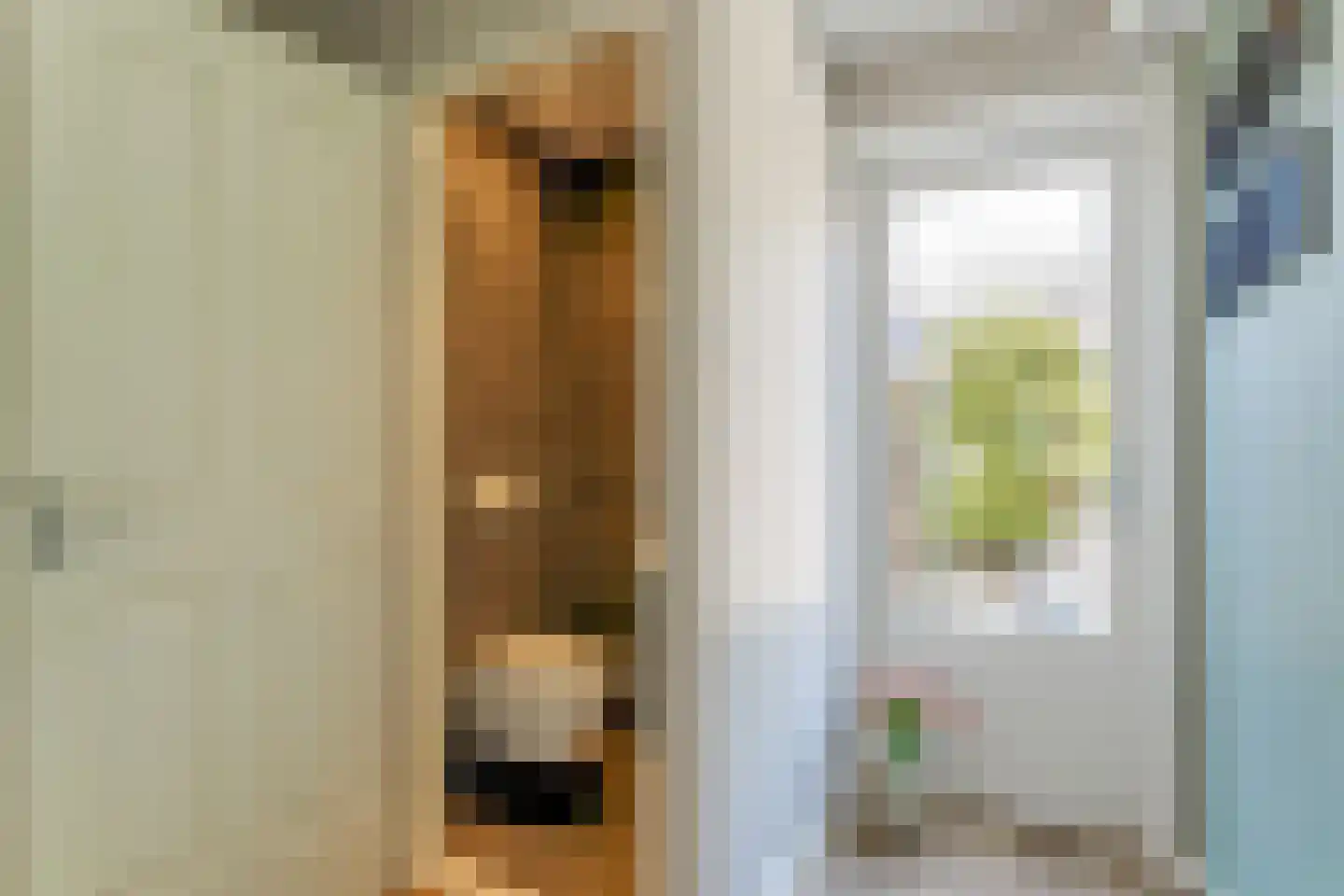Kamille 32 Opmeer thumbnail 16