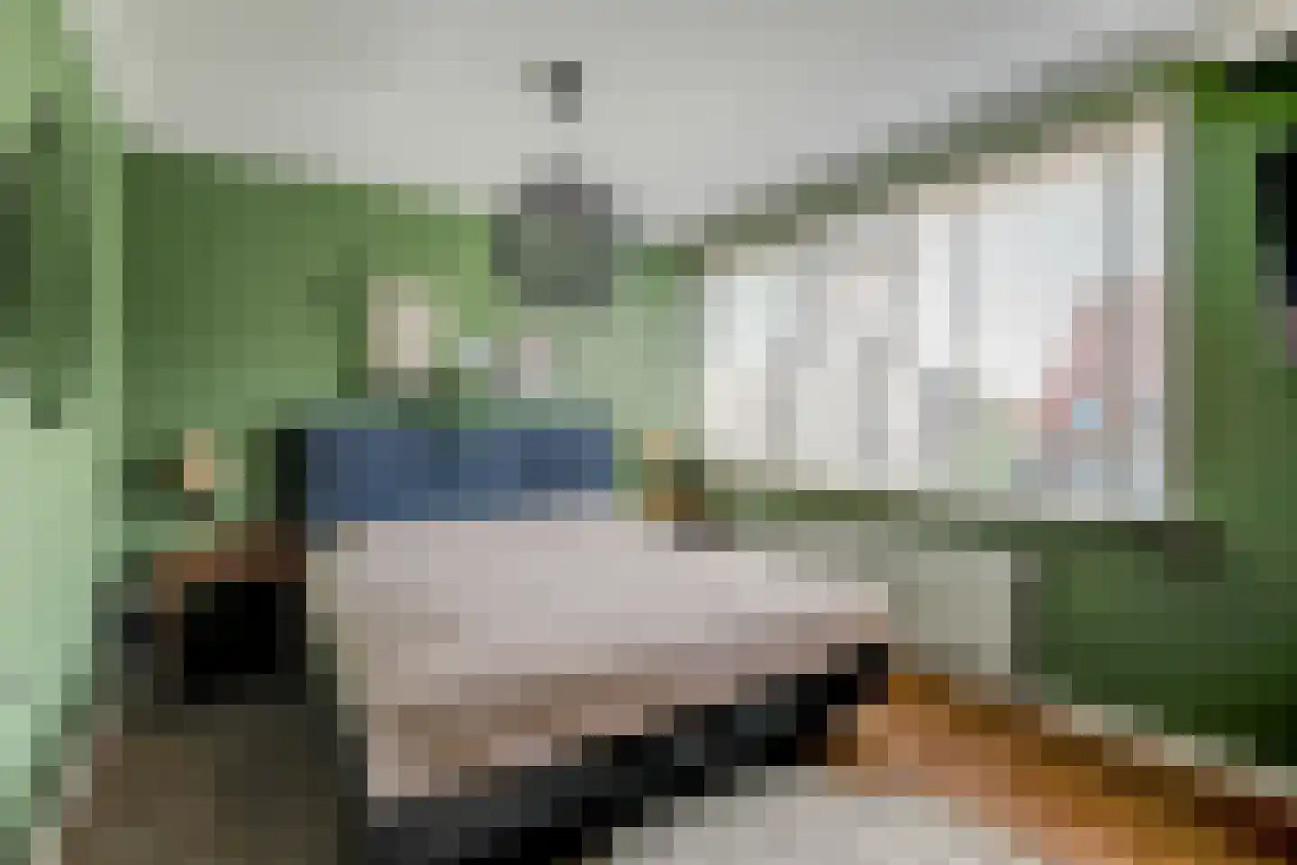 Kamille 32 Opmeer thumbnail 22