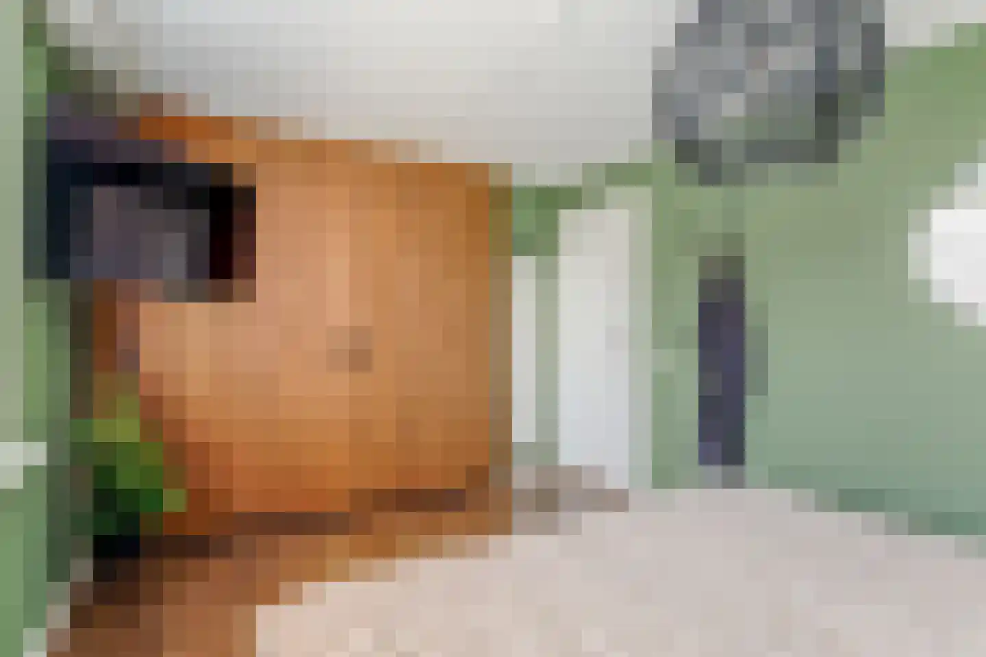 Kamille 32 Opmeer thumbnail 23