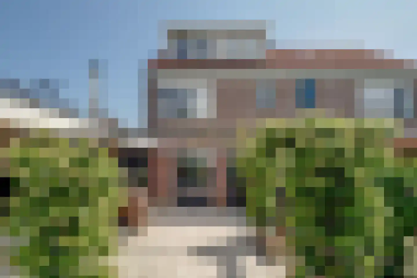 Kamille 32 Opmeer thumbnail 38