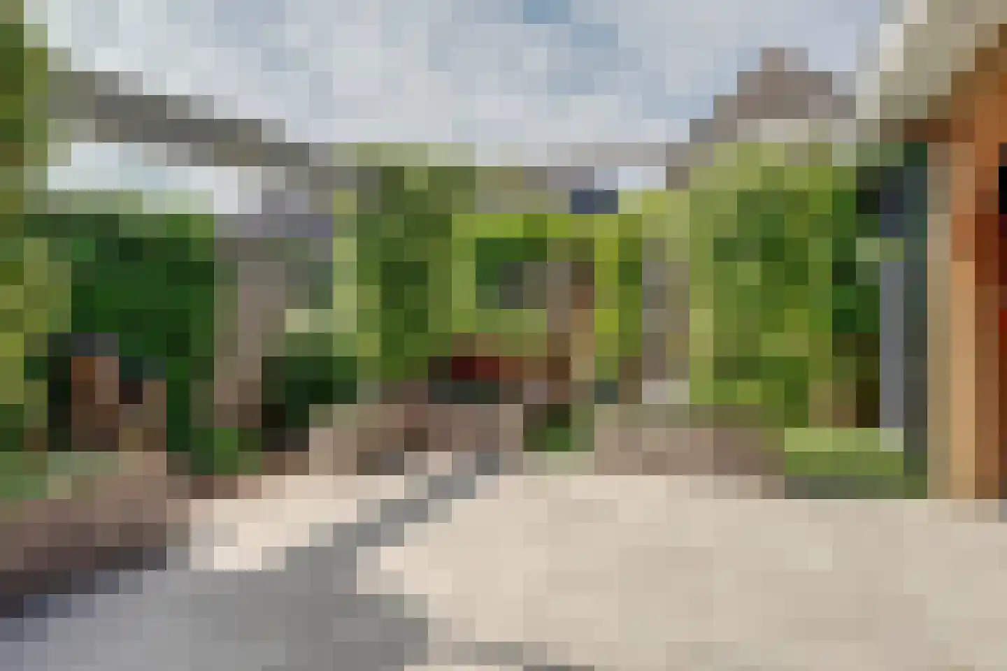 Kamille 32 Opmeer thumbnail 39