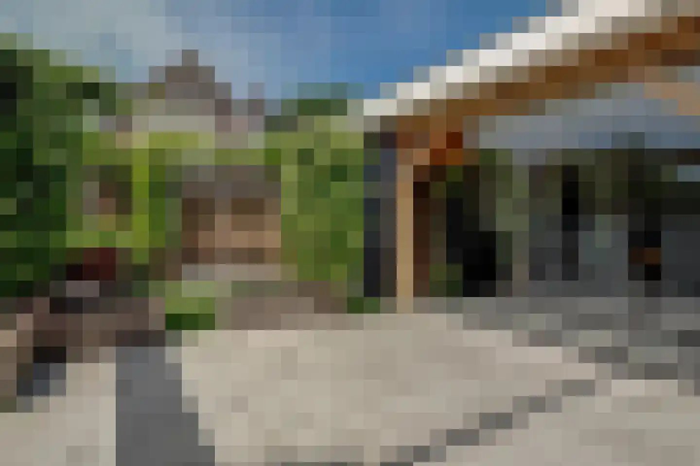 Kamille 32 Opmeer thumbnail 40